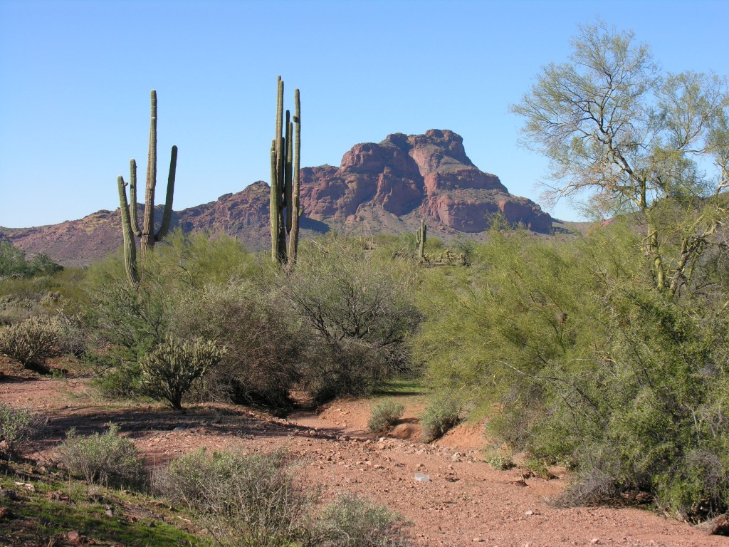 The American West and climate change